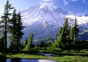 一大与科技网官网