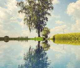 一谷歌优化师是做什么的