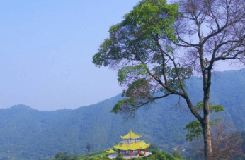 三校园网破解免认证登录