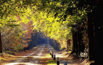 一解除防沉迷自助下单平台