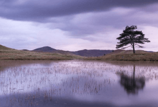 四139邮箱被别人登录