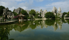 网络分销平台-如何建立网络分销平台