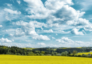 二商标每年要交多少钱