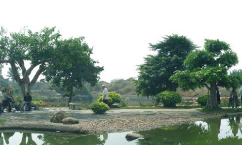 一qq邮箱号注册