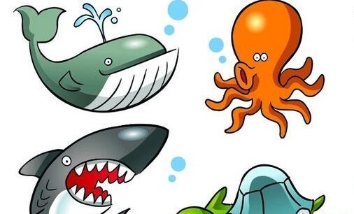 二养老保险异地转移的流程