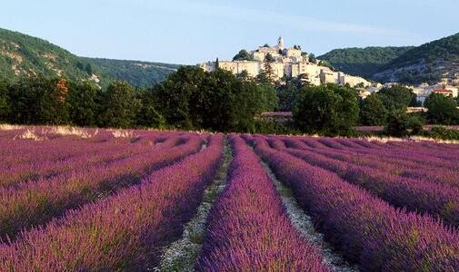 二注册香港公司需要什么