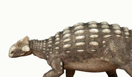 三126邮箱官网口