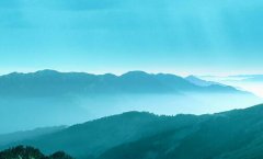 厦门三五互联科技股份有限公司-厦门三五互联怎么样