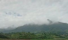 痛风病-痛风病症状