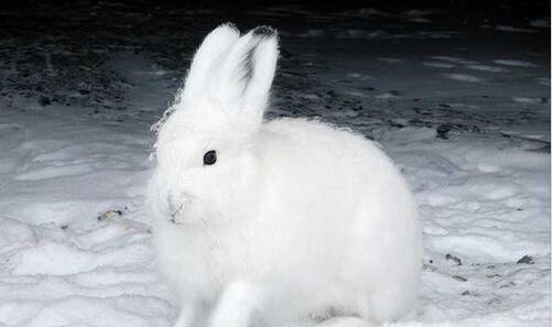 一怎么申请第二个淘宝号