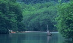 去除鱼尾纹-去除鱼尾纹最快的方法