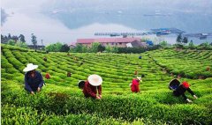湖南省地方税务局网上办税服务厅-湖南地税电子税务局网上办税厅