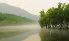 微信营销方案-微信推广活动文案范文