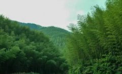 玉田生活网-玉田招聘网最新招女工
