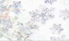 偏门赚钱-法律漏洞偏门行业