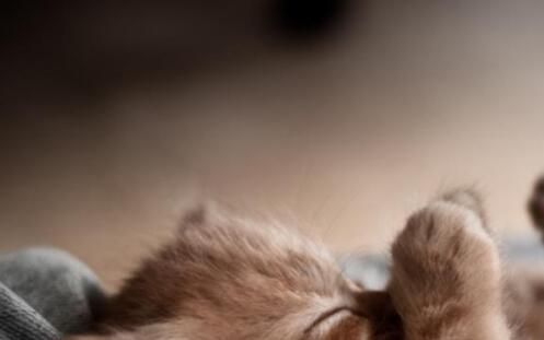 三找回qq密码并修改