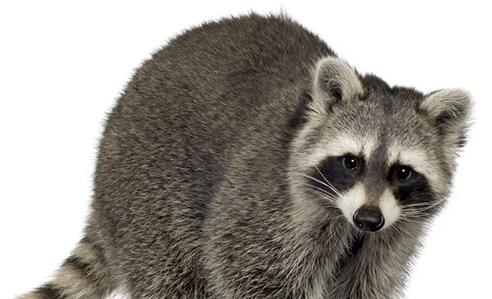 一美丽说首页官网