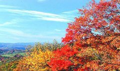 芝加哥州立大学-美国芝加哥有几所大学