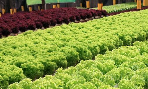 二微信6.9.7官方版本安卓