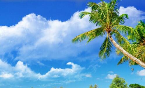 一电脑登录微信显示版本过低