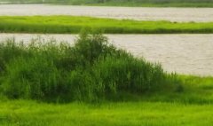 办公室风水摆设-办公室办公桌摆放风水