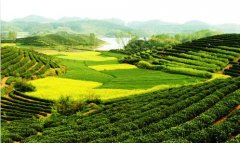 广州金升阳科技有限公司-广州金升阳工资待遇