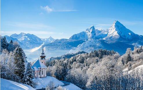 一qq宠物怎么设置主宠物