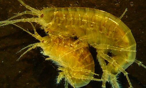 一遵义医学院科技学院宿舍收费