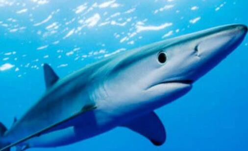 一如何统计网站访问时长