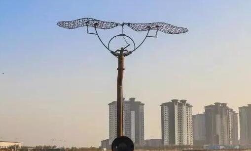 一怎样养金鱼