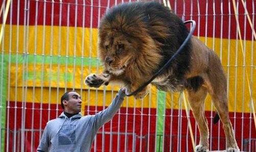 一注册资金是什么意思