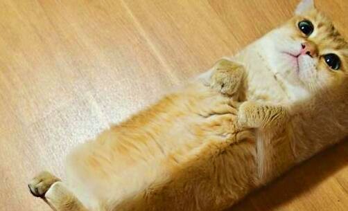 一工商注册程序