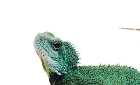 二工商网上注册流程