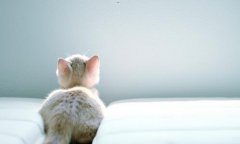 回眸一笑百媚生是什么意思-女生回眸一笑代表什么