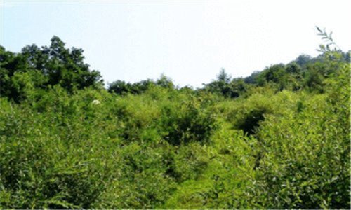 二生活小窍门100妙招