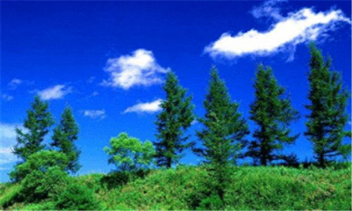 一昭通学院教务系统