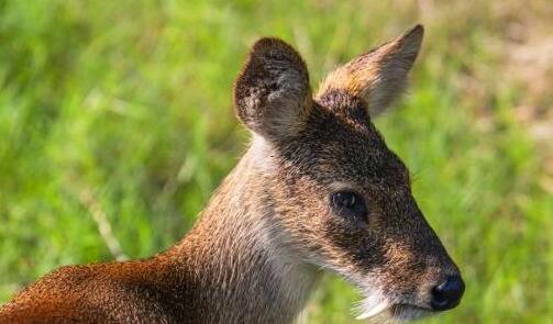 三昭通学院教务系统请登录