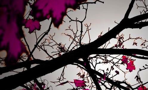 一中脉科技集团