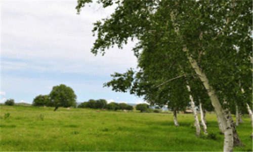 三中脉会员登录