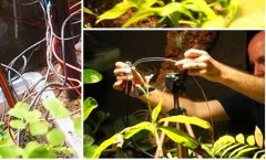 重庆科技学院怎么样-重庆科技学院这所学校怎么样