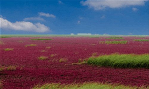 二win7升级win10还免费吗