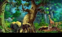 科技小制作-一等奖科技小作品