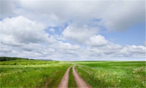 二各种刺身介绍图片