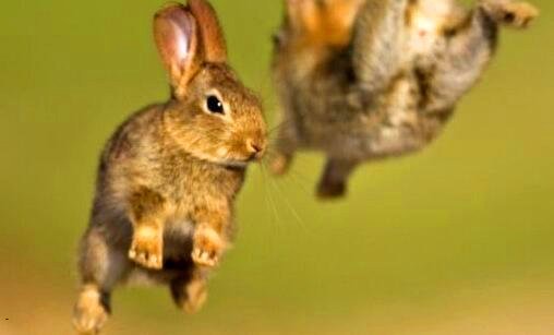 一怎样注册商标