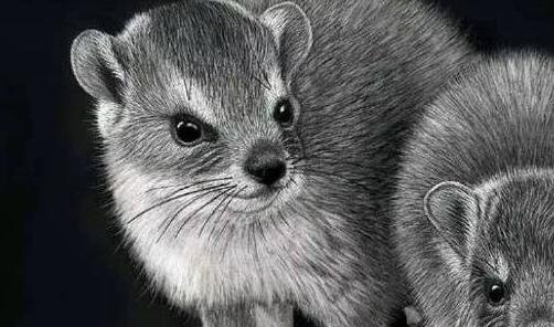 一如何在香港注册公司流程