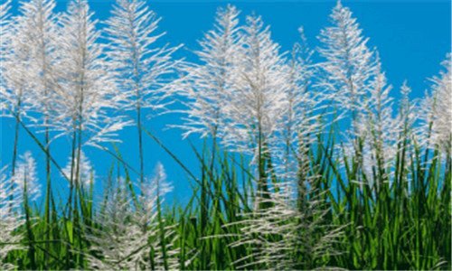 一教师节送老师什么礼物好