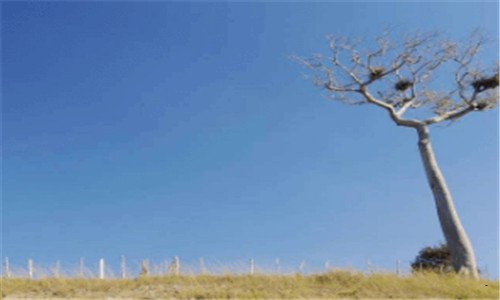 一笔记本怎么设置wifi热点