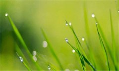 学化妆的基本步骤-日常的正确化妆顺序