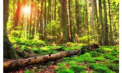 现在干什么赚钱-年轻人现在干什么赚钱