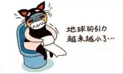 生活宝-同城生活宝